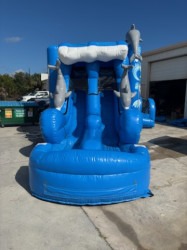 ME2c4179e777043412cad46b3c2faf0c9d 1765317870 Double Lane Dolphin Combo