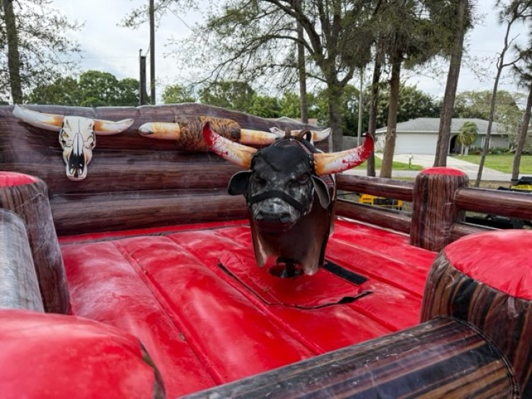 Mechanical Bull Rentals